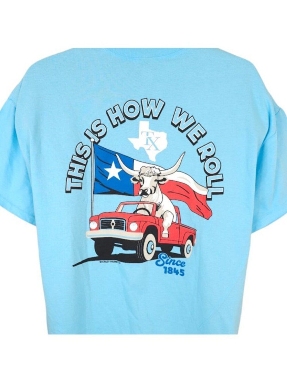 Texas T Shirt Mens Size XL Blue This Is How We Roll Longhorn Cow Pickup Truck